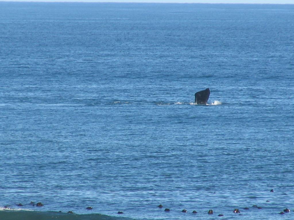 Bella Vista Onrus Villa Hermanus Bagian luar foto